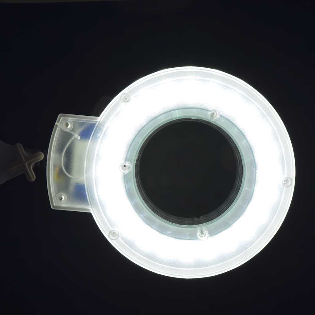 Standing Magnifying Lamp with Ring Light